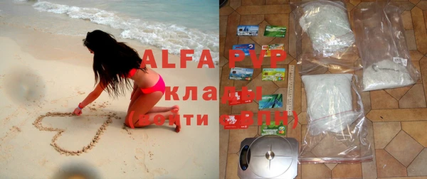 COCAINE Майский